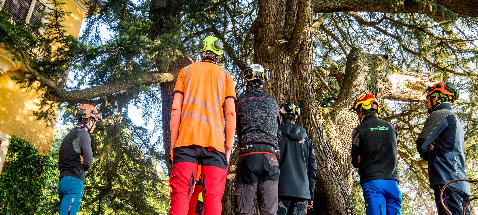 LA VITA DEGLI ALBERI AL CENTRO